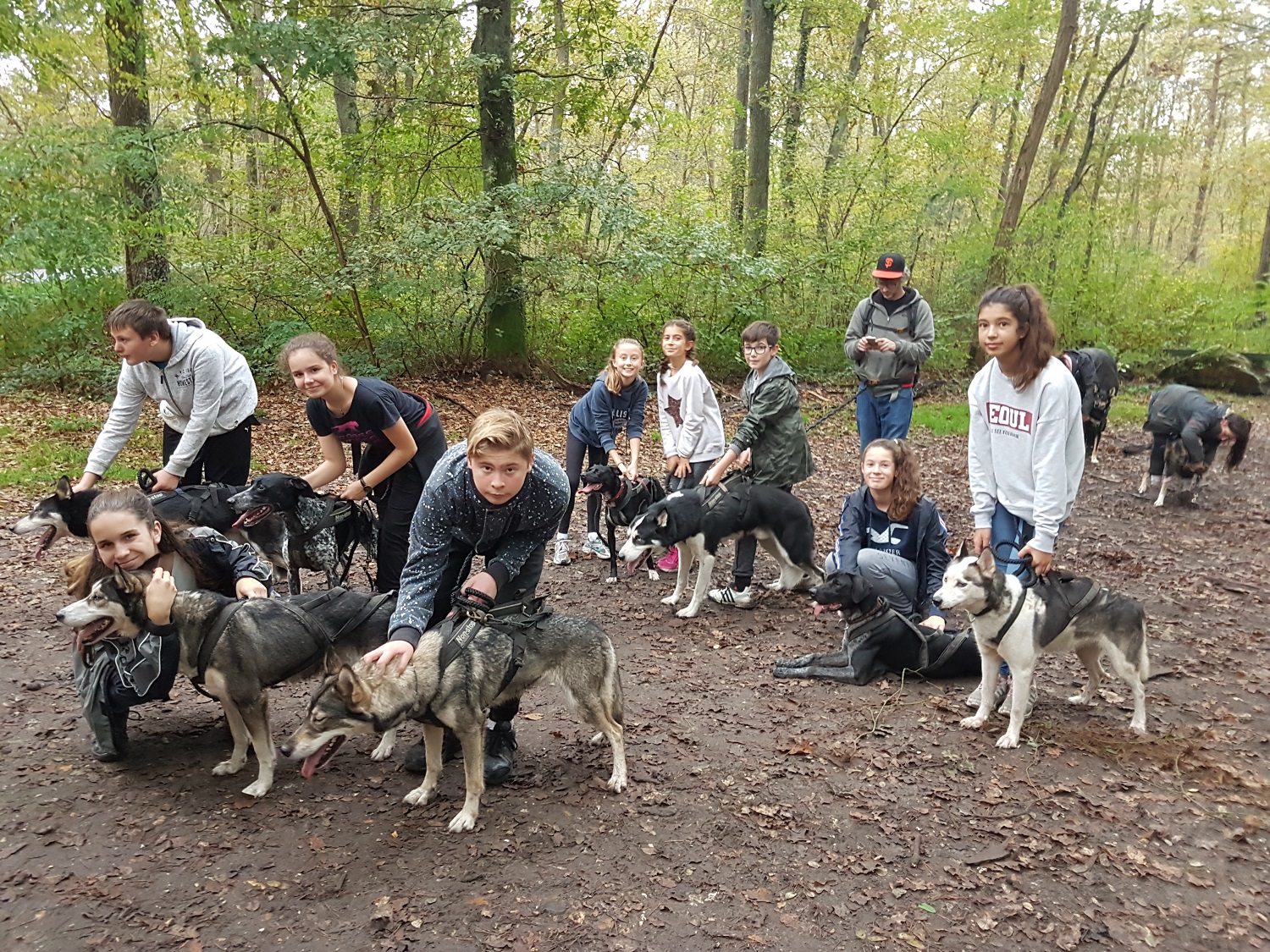 Rallye Nature en joelette dans le foret de fontainebleau au départ de Bois-le-Roi