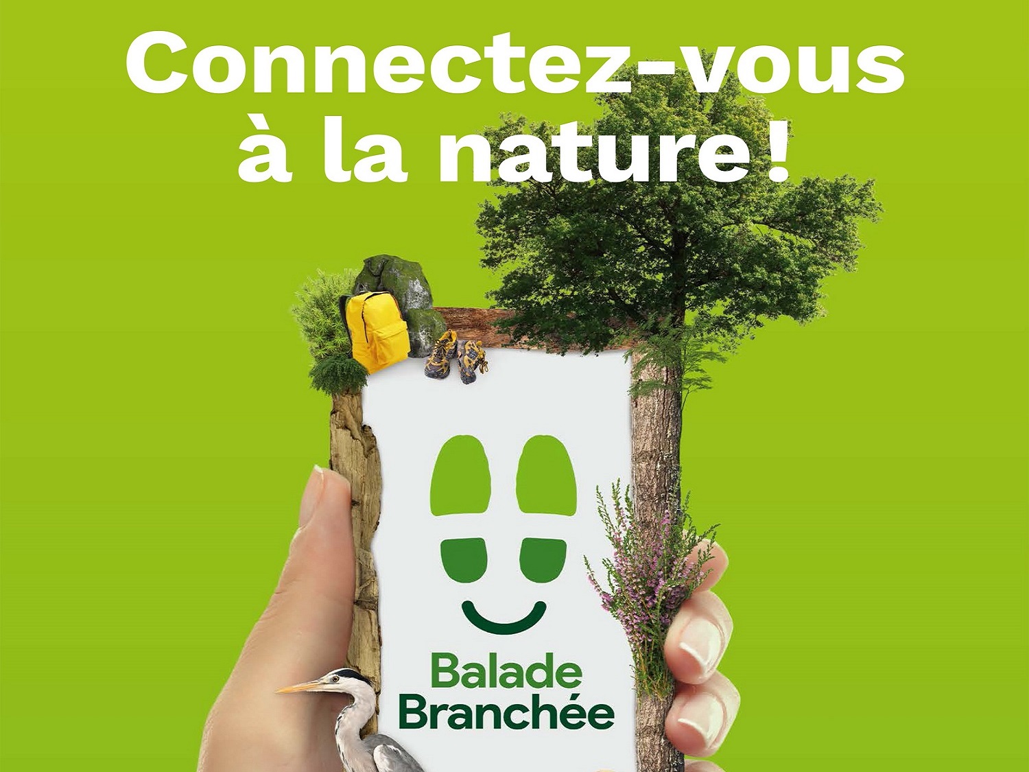 téléchargez l'application balade branchée pour découvrir la foret de fontainebleau