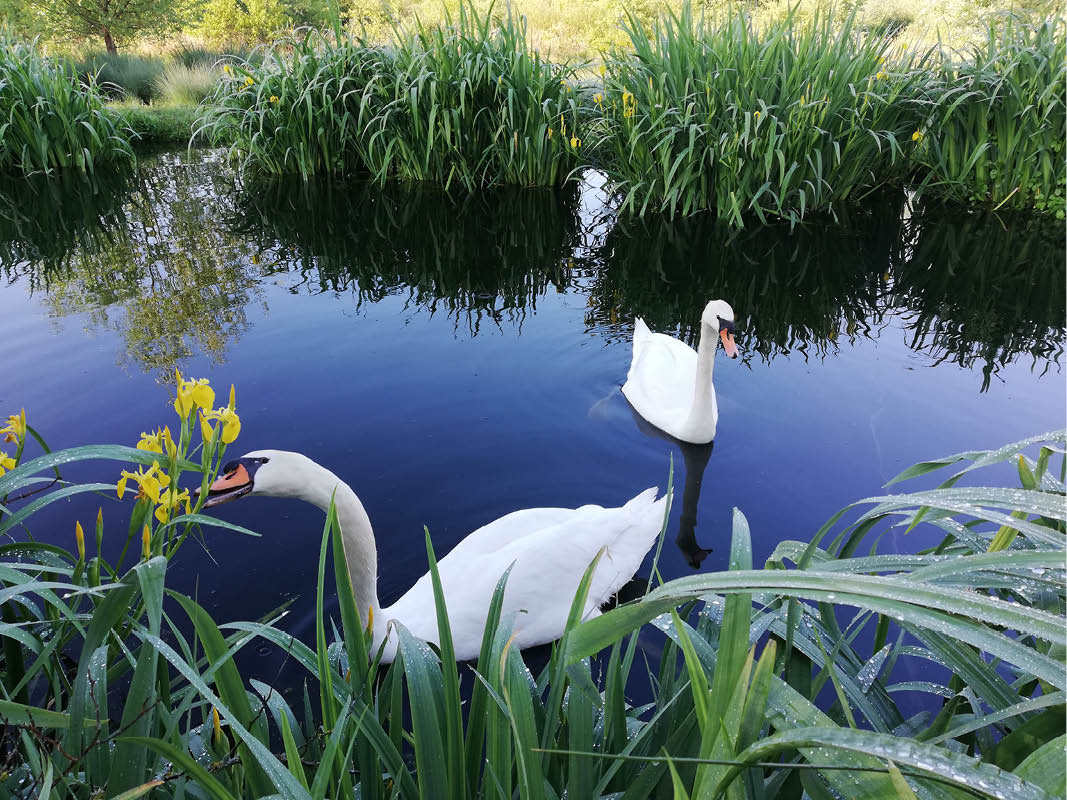 concoursp photo individuel g villiers