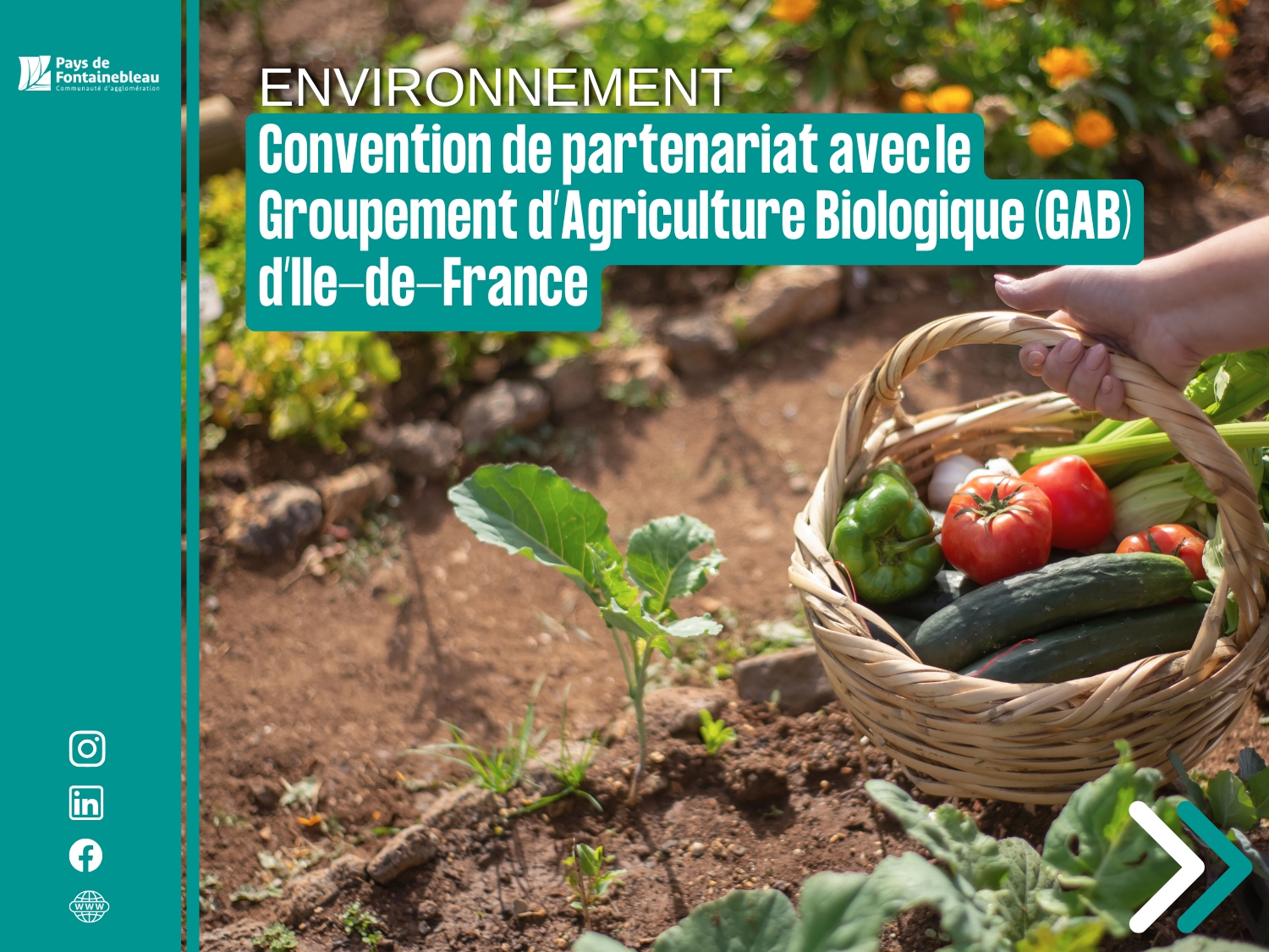 environnement
